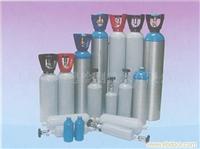 气体取样袋-8L(双阀)/上海气体分析仪器销售