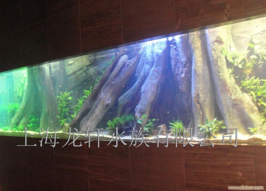 鱼缸/定制鱼缸/上海定制鱼缸厂/上海定制鱼缸公司/上海定做鱼缸公司/上海鱼缸设计公司/鱼缸制作公司