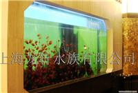 亚克力鱼缸 上海龙轩水族用品有限公司13012811650 上海鱼缸/上海定制鱼缸/上海定制鱼缸厂/上海定制鱼缸公司