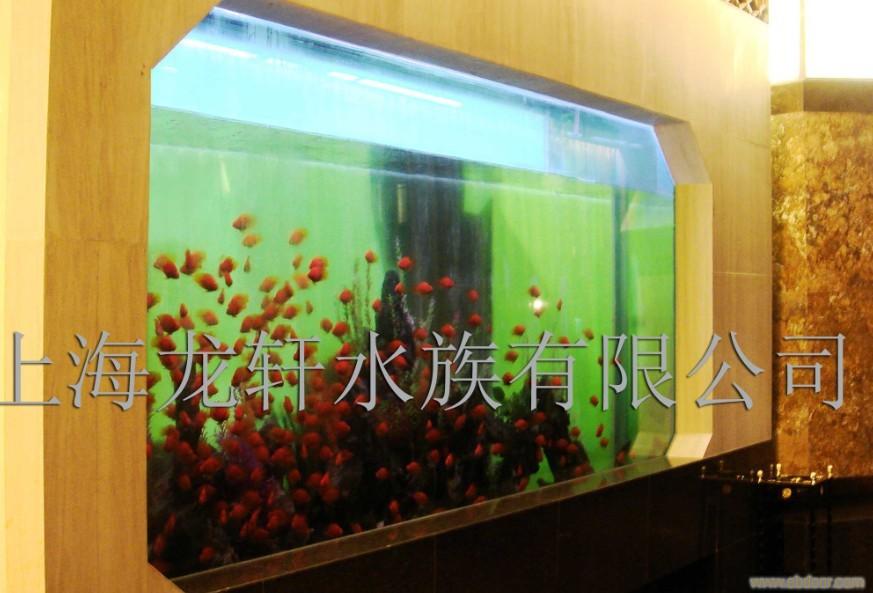亚克力鱼缸 上海龙轩水族用品有限公司13012811650 上海鱼缸/上海定制鱼缸/上海定制鱼缸厂/上海定制鱼缸公司