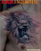 狮头纹身图片/个性纹身图片/上海专业纹身师
