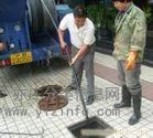 楼房下水道改道