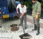 楼房下水道改道