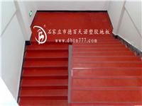 石家庄PVC塑胶运动地板应用