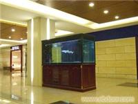 鲨鱼缸 