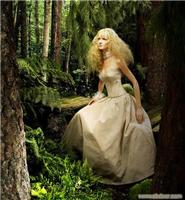 上海玫瑰丽人婚庆电话 