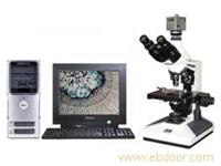 8CA-V图像生物显微镜8CA-V�