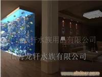 吧台鱼缸—观赏鱼缸