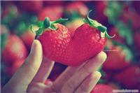 吃草莓有什么好处/上海农家乐两日游