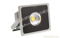 投光灯-10W-2LED投光灯:上海LED投光灯,LED投光灯