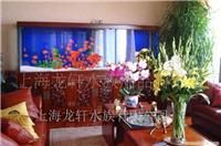 明清风格鱼缸