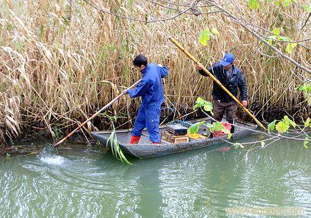 【长治霸威2500W小巧型节能型捕鱼器捕鱼器】
