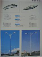 道路灯WHD-1006-1007