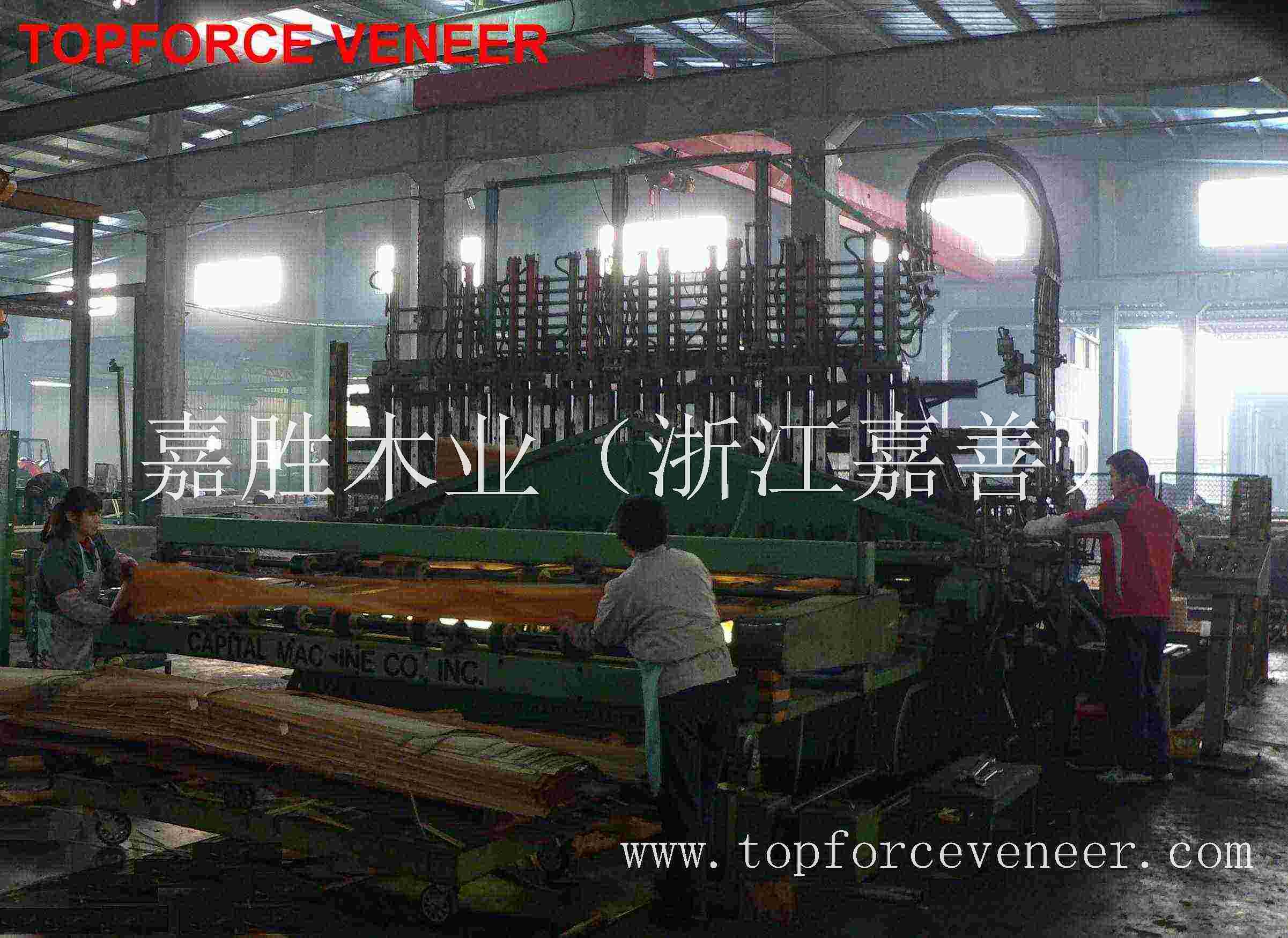 杭州原木木皮加工厂家 ZheJiang HangZhou Veneer Logs Cutting Veneer Slicing Veneer Rift Cutting Veneer