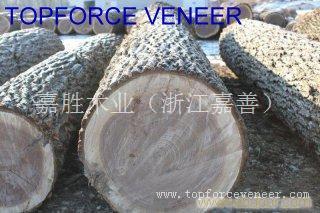 浙江杭州美国黑胡桃原木,ZheJiang American Walnut Logs,二面清,三面清锯切级,三面清旋切级和四面清刨切级,