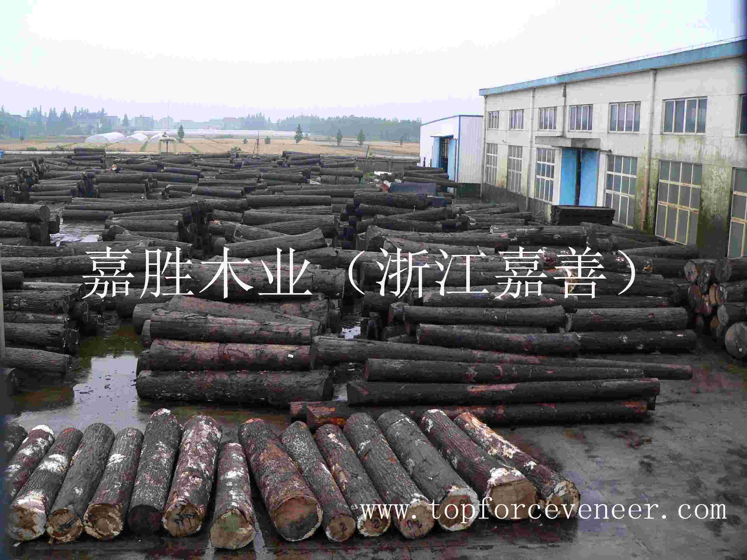 嘉兴原木木皮加工厂家 JiaXing Veneer Logs Custom Slicing Cut Cutting Factory