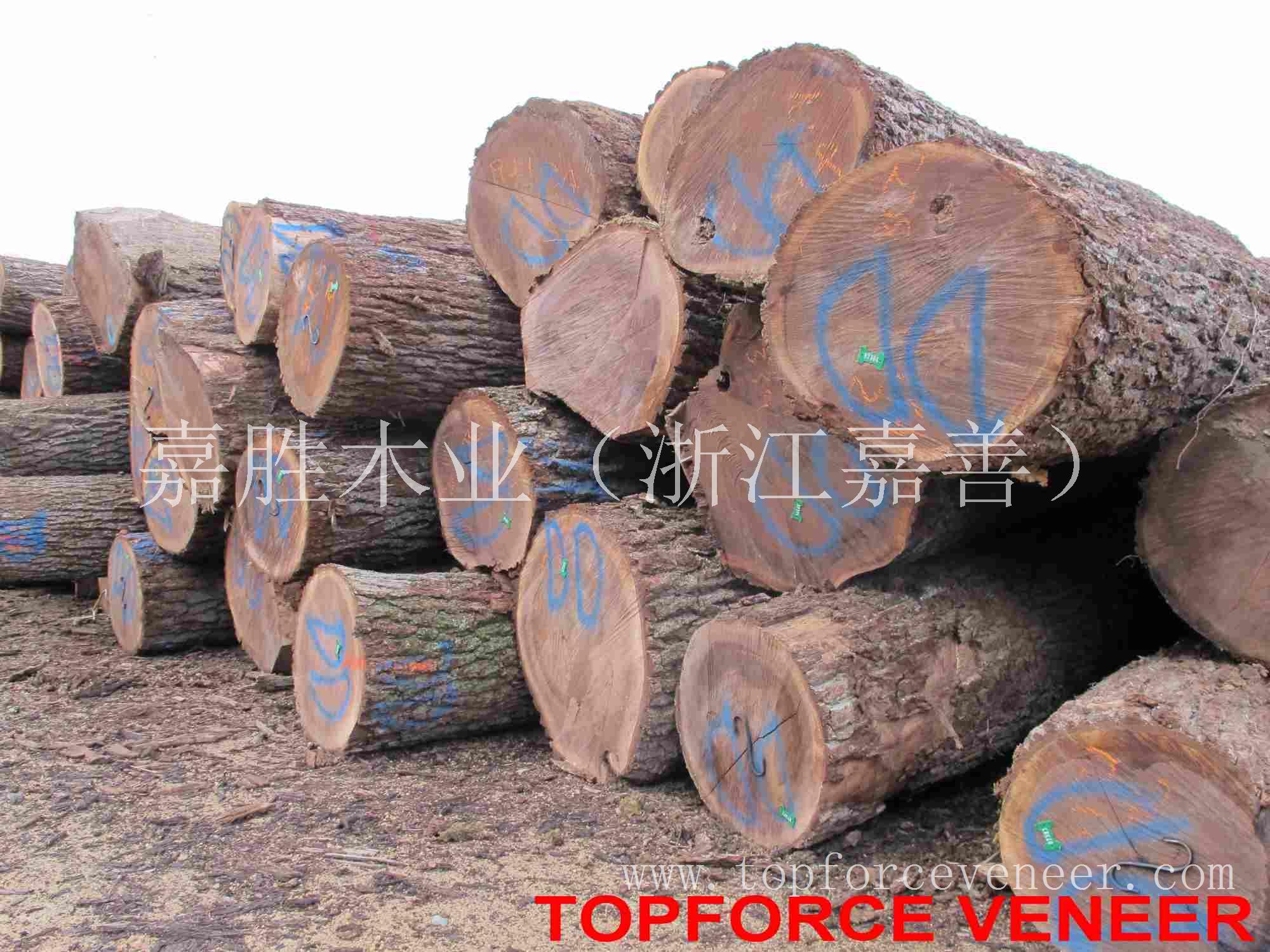 嘉兴黑胡桃原木 JiaXing JiaShan Walnut Veneer logs and Walnut Saw Logs