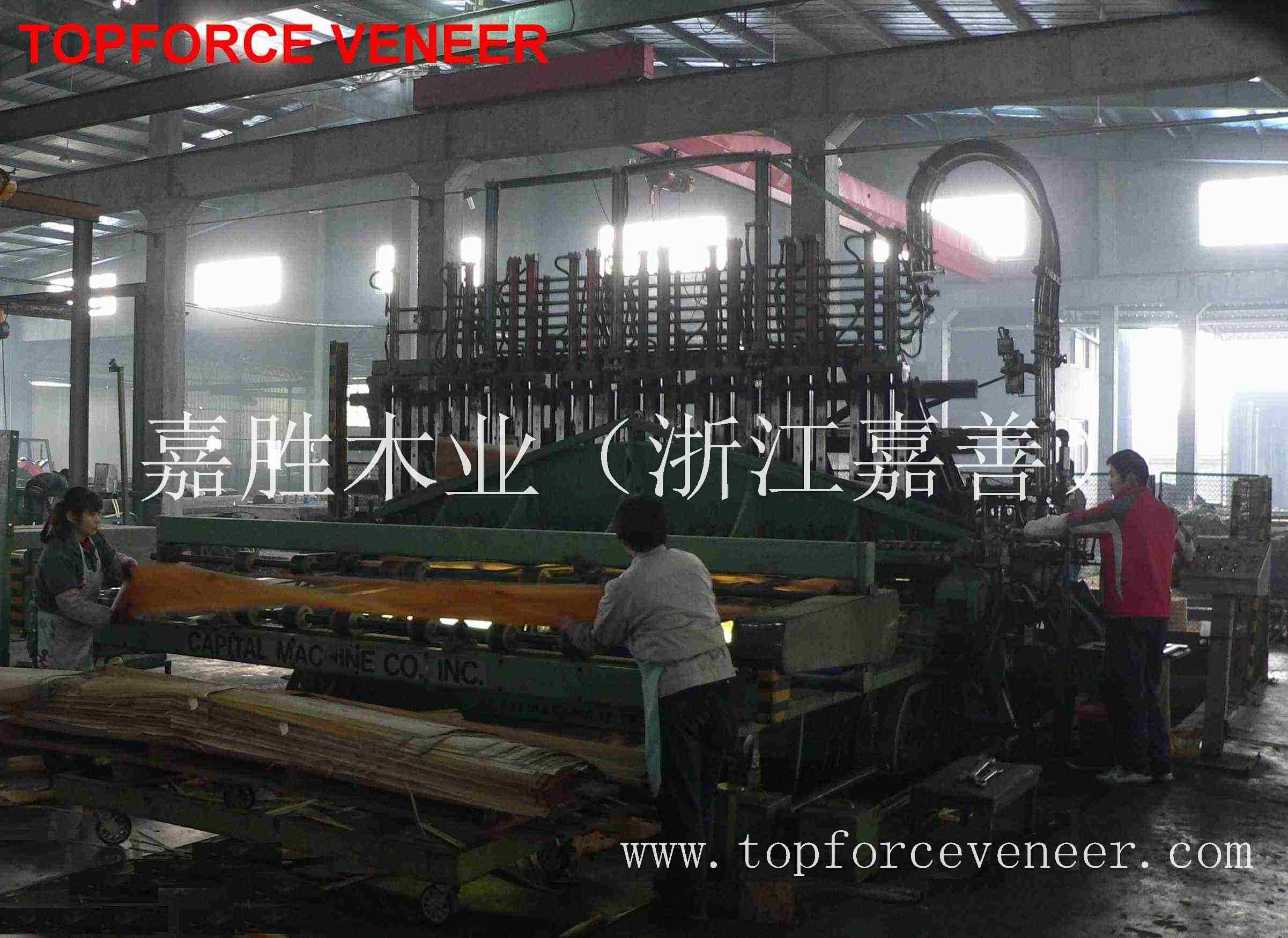 上海原木木皮加工 ShangHai Logs Veneer Cutting Slicing Rift Cutting Factory