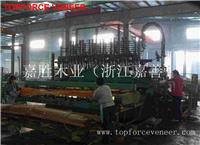 上海木皮生产商 China ShangHai Veneer Mill