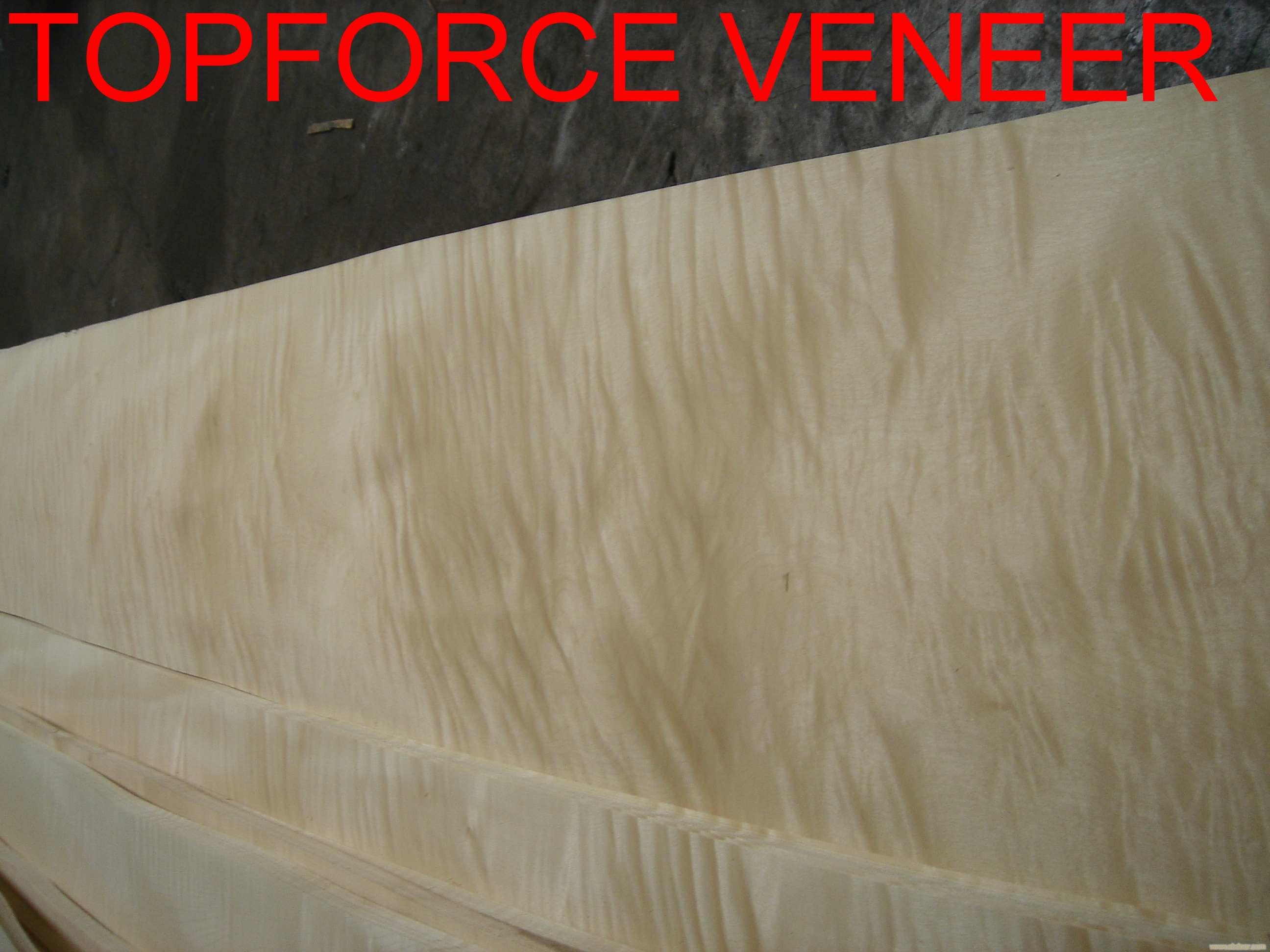 上海木皮十大品牌 The Top 10 Brands of Veneer Supplier in ShangHai China