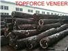 上海当地好的原木厂 China ShangHai Locally Quality Veneer Logs and Saw Logs Supplier Enjoy Good Reput