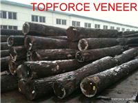 上海原木木皮加工厂家 China ShangHai Veneer and Saw Logs Veneer Cutting Processing Factory