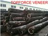 上海黑胡桃原木,ShangHai Walnut Veneer Logs,Walnut Veneer Logs,Walnut Saw Logs,ShangHai Log Yard