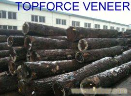 上海黑胡桃原木刨切厂 China ShangHai Black Walnut Veneer Logs Slicing Cutting Mill or Factory