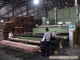 上海黑胡桃原木木皮厂CHINA SHANGHAI BLACK WALNUT VENEER AND VENEER LOGS MILL AND FACTORY