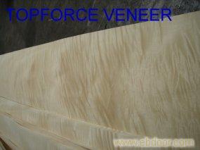 嘉善木皮代理商 ZheJiang JiaXing JiaShan Veneer Agent