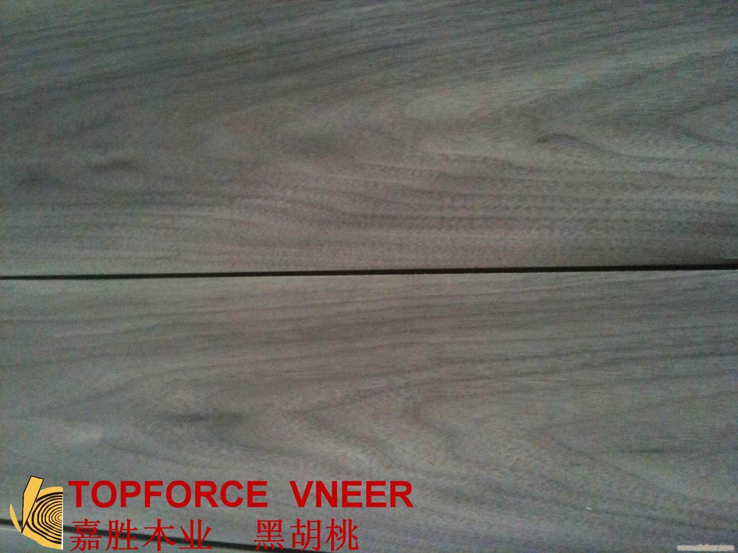 白雪公主 Snow White Walnut Veneer