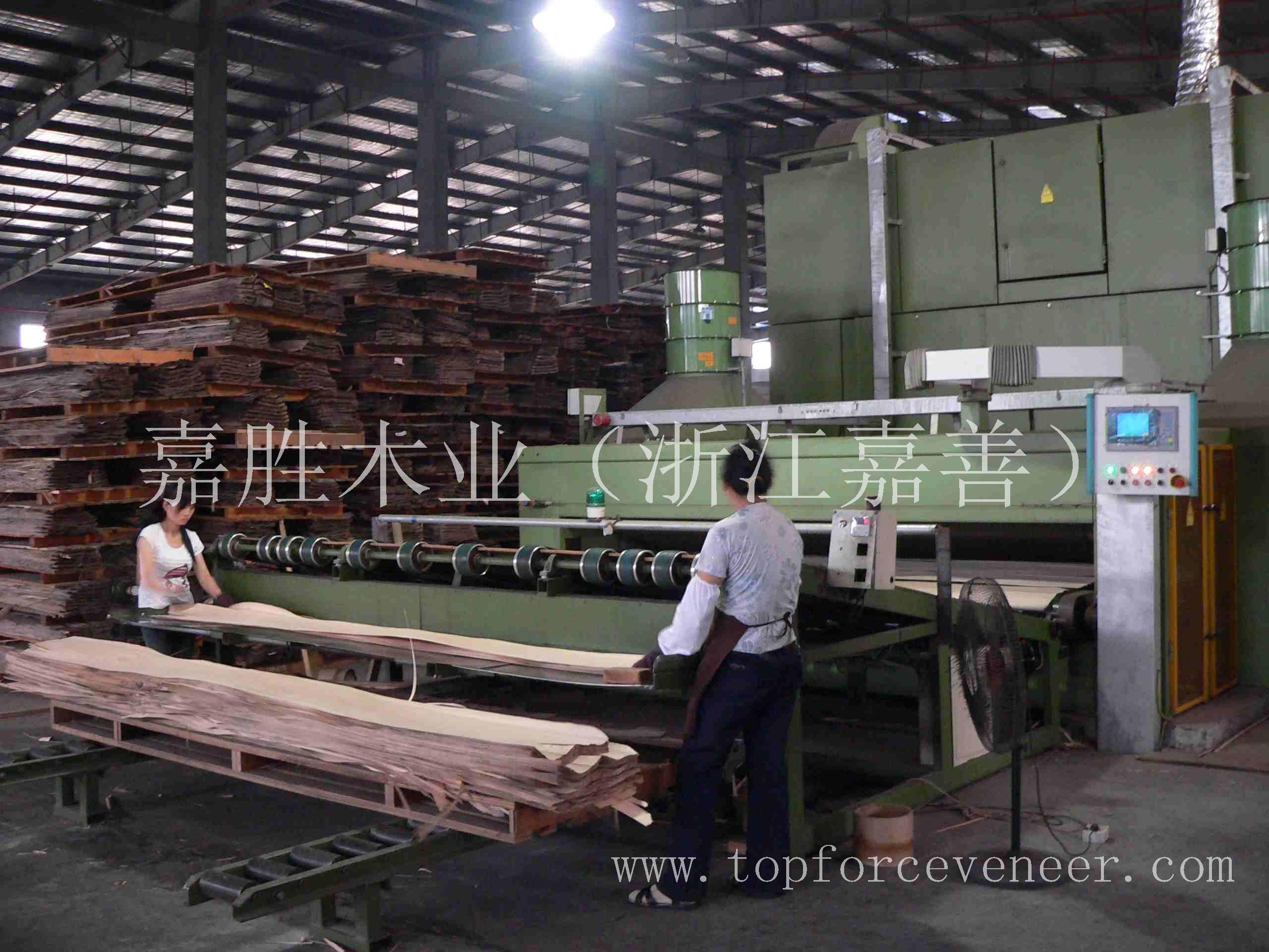 浙江哪家木皮好？The Good Veneer Mill located in ZheJiang