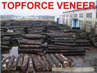 浙江当地好的原木厂 Veneer Mill Located JiaShan ZheJiang enjoy the good reputation