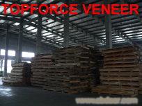 浙江原木木皮加工厂家(专业黑胡桃),ZheJiang Logs and Veneer Production Mill (Specialize in American Wa