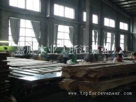 浙江哪里去买木皮? The Quality Veneer Producer located ZheJiang JiaShan