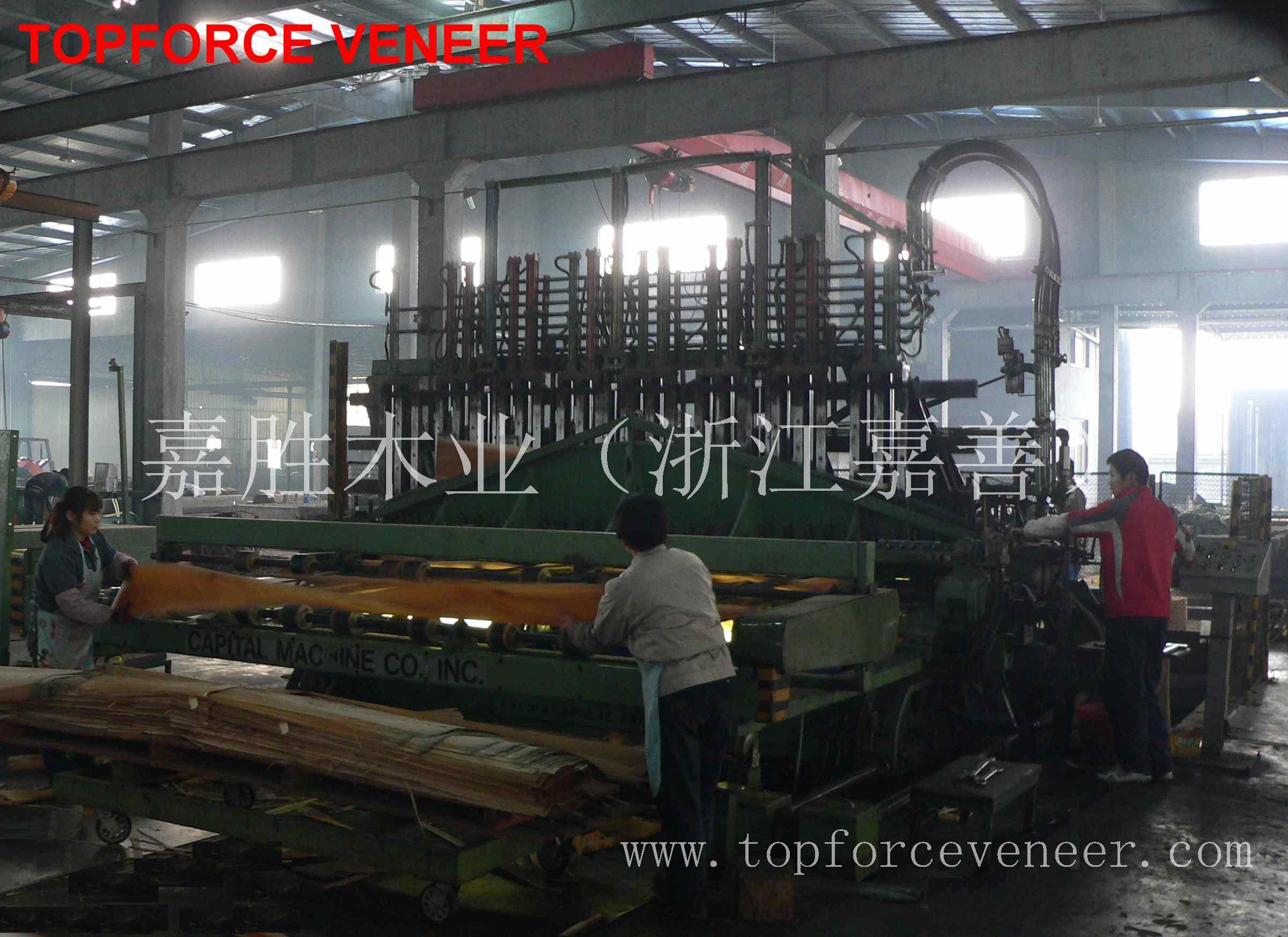 浙江黑胡桃原木木皮厂ZheJiang Walnut Logs Veneer Slicing Factory