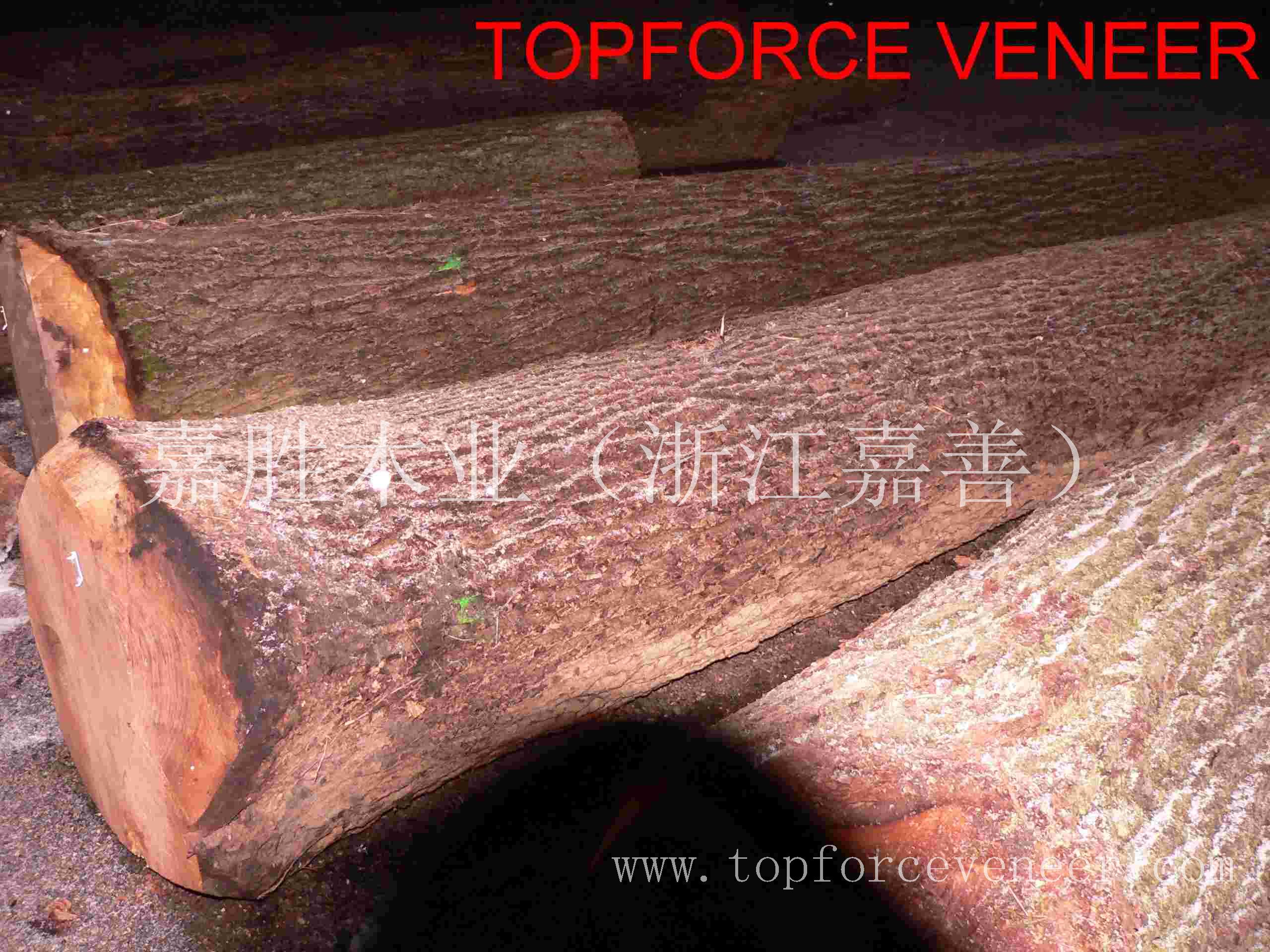 浙江黑胡桃原木木皮厂ZheJiang Walnut Logs Veneer Slicing Factory