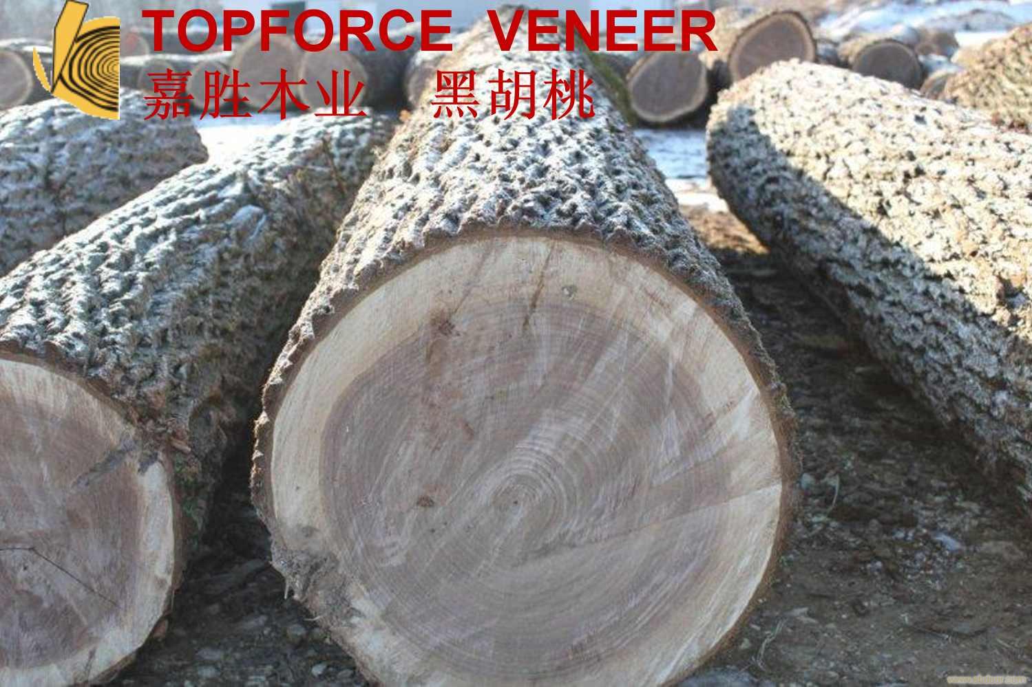 上海美国黑胡桃原木,二面清,三面清锯切级,三面清旋切级和四面清刨切级,锯切实木地板,框切实木地板,旋切木皮