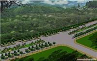 上海绿化养护公司承接各种道路绿化工程