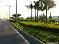 上海绿化物业公司 上海道路绿化养护 上海小区绿化养护