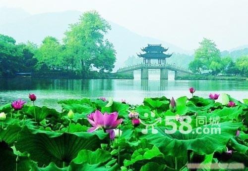 上海到苏州杭州二日游、上海到苏州杭州二日游景点、上海到苏州杭州二日游报价、从上海到苏州杭州二日游、上