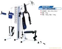 贵州室内健身器材销售-TC9917豪华三站综合训练器