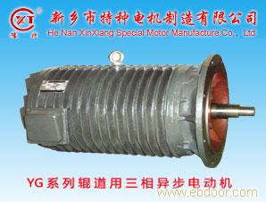 新乡冶金变频电机价格