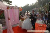 石家庄婚庆/石家庄婚庆礼仪/石家庄婚庆公司