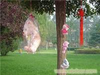 石家庄婚庆公司（牵手）