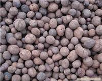 生物挂膜陶粒
