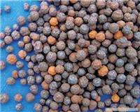上海陶粒滤料