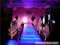 石家庄服务的婚庆公司