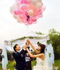 2011年上海结婚群是多少啊