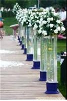 石家庄专业（婚庆）公司--石家庄（婚庆）公司